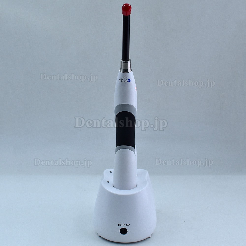 Woodpecker B-Cure 歯科用光重合照射器 バッテリー 2 個と充電器付き